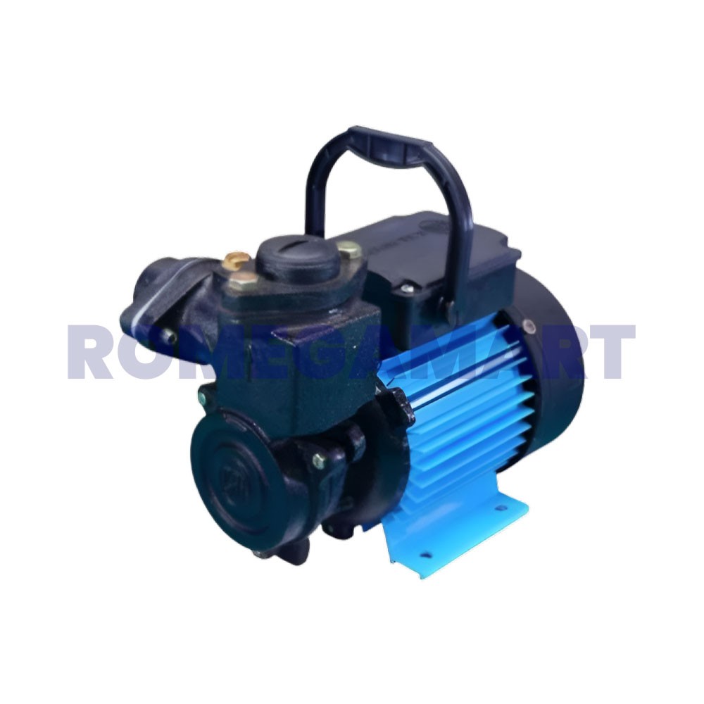 Electric 1 HP CRI Raw water Pump - NECSAL RO SERVICES